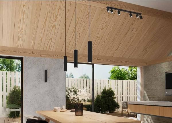 Laevalgusti Karbon 6L