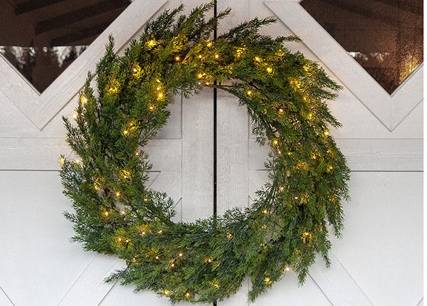 Pärg Thuja 80 cm, roheline