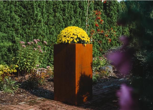 Petteri Wiimaa Corten istutuskast Manhattan