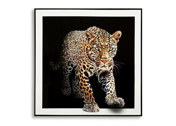 Pilt Jaguar 82x82 cm
