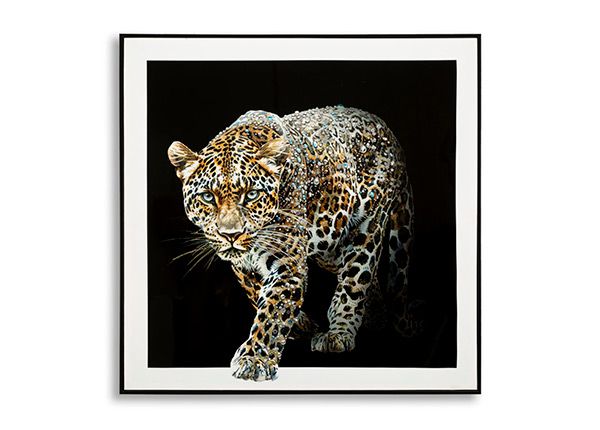 Pilt Jaguar 82x82 cm