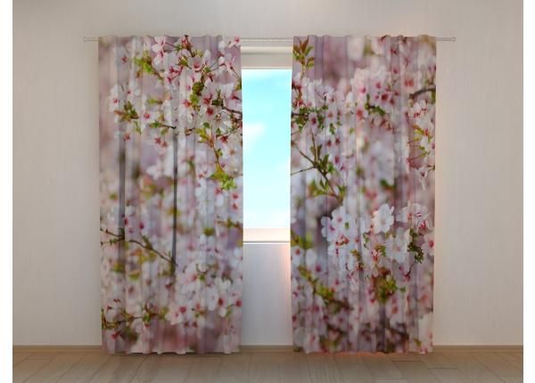 Pimendav fotokardin Cherry Tree Blossoms in Spring Cherry 240x220 cm