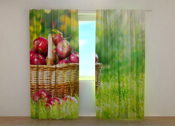 Pimendav kardin Apples 240x220 cm