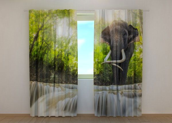 Pimendav kardin Big Elephant 240x220 cm