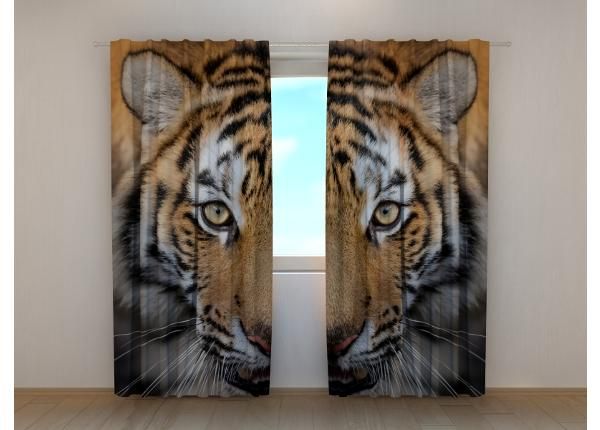 Poolpimendav fotokardin Siberian Tiger 240x220 cm