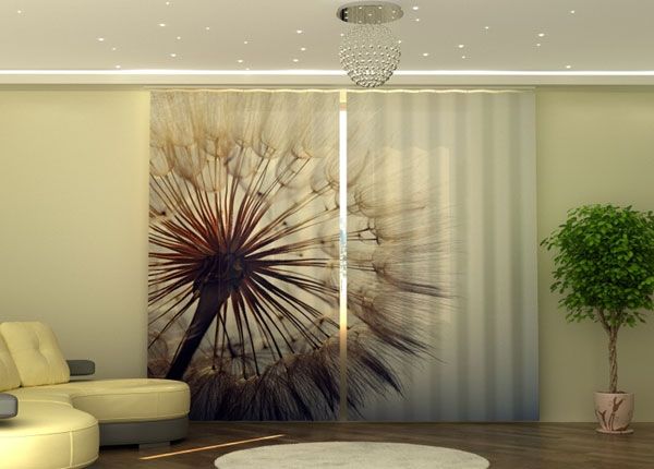 Poolpimendav kardin Amazing Dandelion 290x245 cm