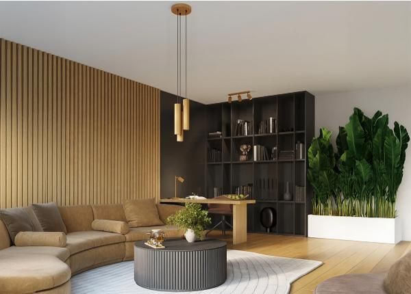 Rippvalgusti Karbon 3P