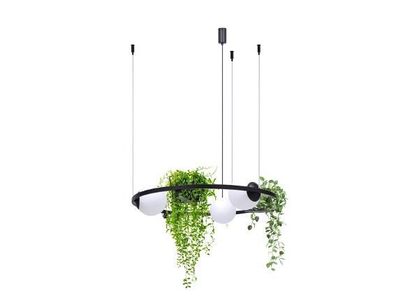 Rippvalgusti Plant 3