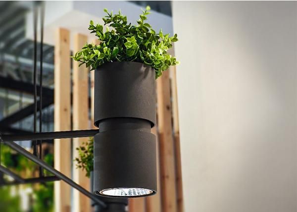 Seinalamp Kukkia, must