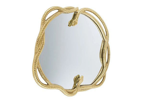 Seinapeegel Snake