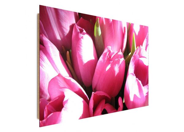 Seinapilt Pink tulips