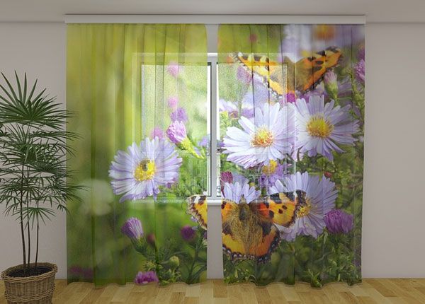 Šifoon-fotokardin Butterflies 240x220 cm