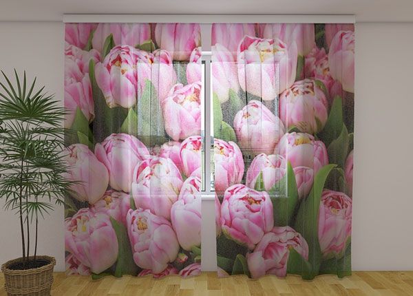 Šifoon-fotokardin Marvelous tulips 240x220 cm