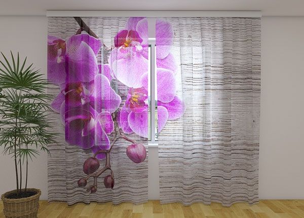 Šifoon-fotokardin Orchids and tree 2, 240x220 cm