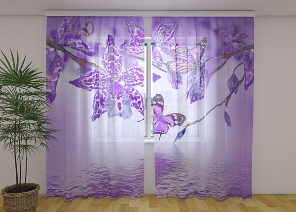 Šifoon-fotokardin Violet Orchid 240x220 cm