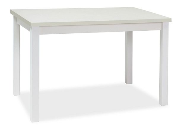 Söögilaud Robert 100x60 cm
