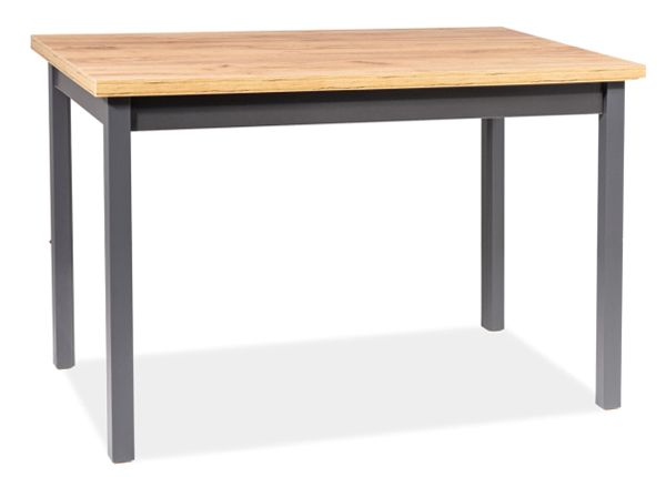 Söögilaud Robert 100x60 cm