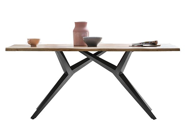 Söögilaud Tische 100x220 cm