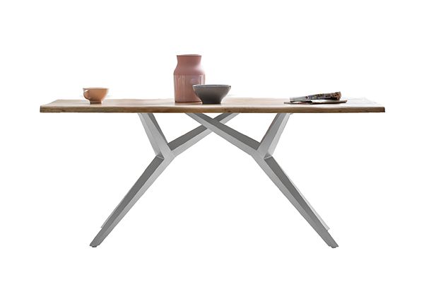 Söögilaud Tische 100x220 cm