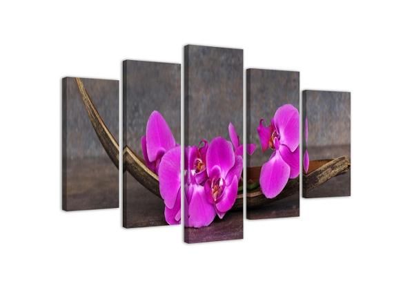 Viieosaline seinapilt Violet Orchids 100x70 cm