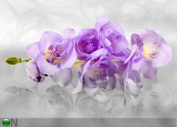 Fliis-fototapeet 3D orchid 360x270 cm