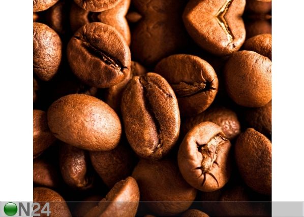 Fotokardin Coffee, 280x245 cm