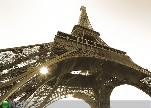Fototapeet Eiffel Tower black and white 360x254 cm
