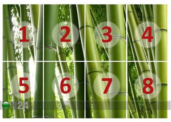 Fototapeet Paradise of Bamboo 400x280 cm