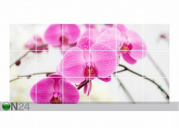 Kleebised seinaplaatidele Close-up of orchid 60x120 cm