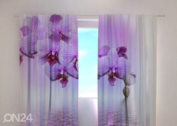 Läbipaistev kardin Lilac beauty 240x220 cm