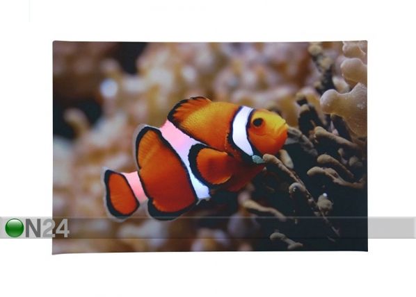 LED pilt värvi vahetav, Clown Fish 60x40 cm