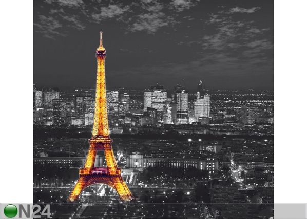 Pimendav fotokardin Paris by night 280x245 cm