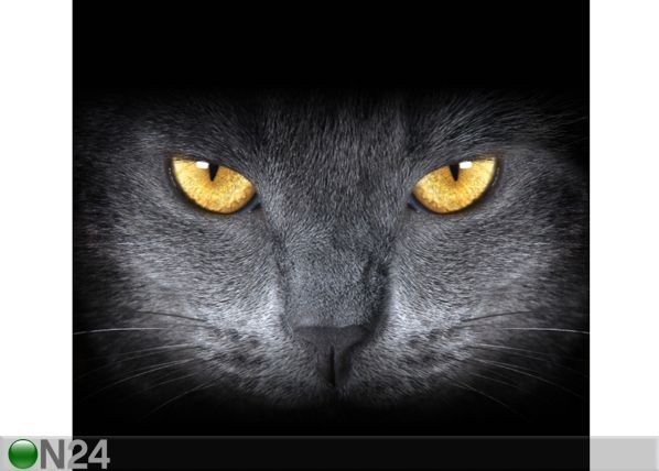 Poolpimendav fotokardin Black Cat 280x245 cm