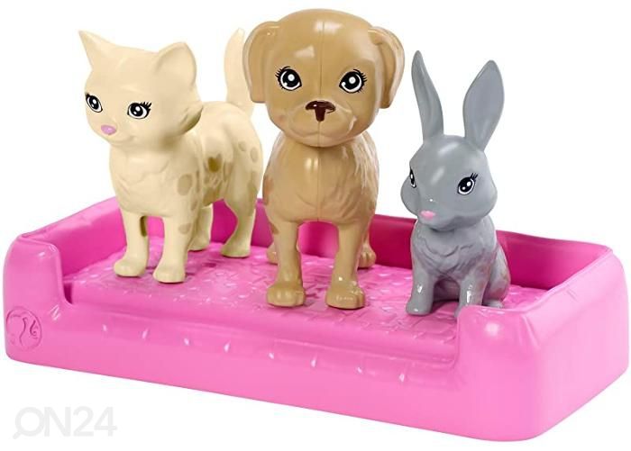 Barbie® Play'N' Wash nukk lemmikloomadega suurendatud