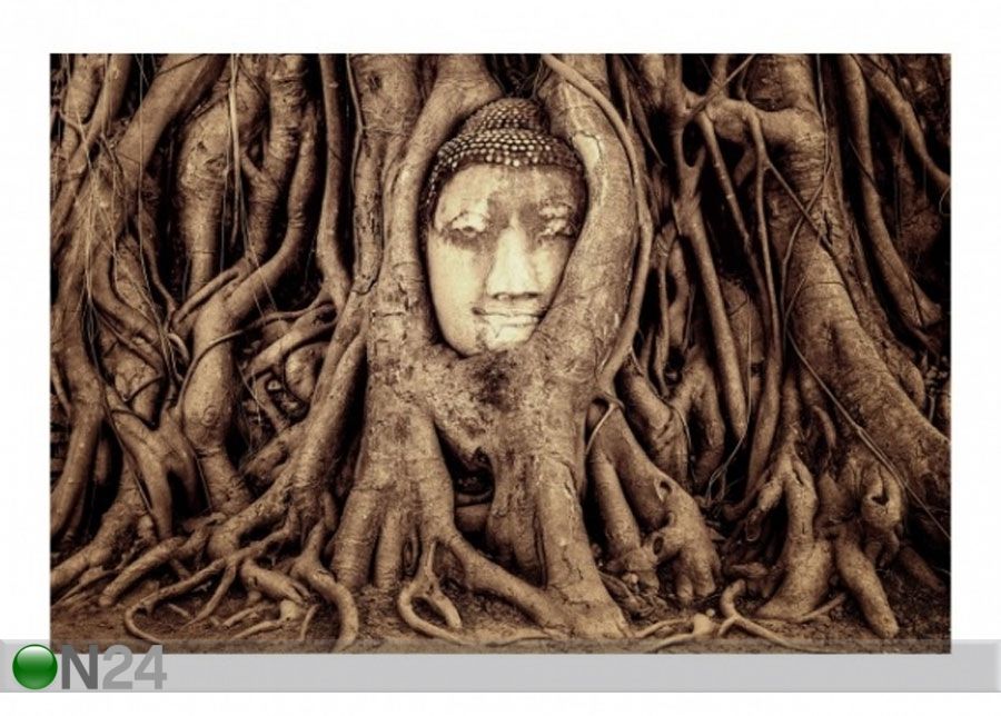 Fliis fototapeet Buddha in Ayutthaya suurendatud