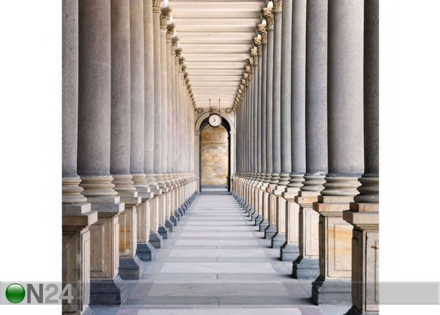 Fliis fototapeet Columns in the Mill Colonnade in Karlovy Vary suurendatud