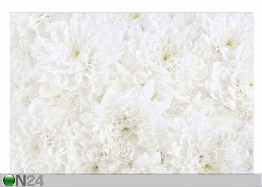 Fliis fototapeet Dahlias sea of flowers white suurendatud