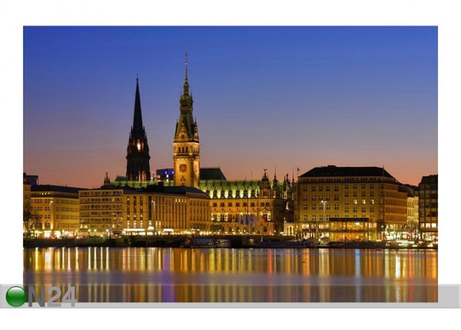 Fliis fototapeet Hamburg Panorama suurendatud