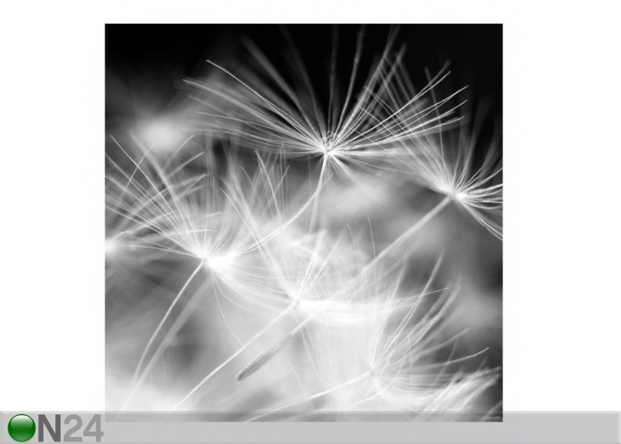 Fliis fototapeet Moving Dandelions close up on black background suurendatud