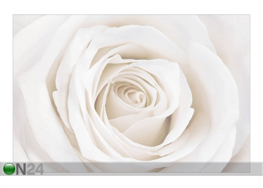 Fliis fototapeet Pretty White Rose suurendatud