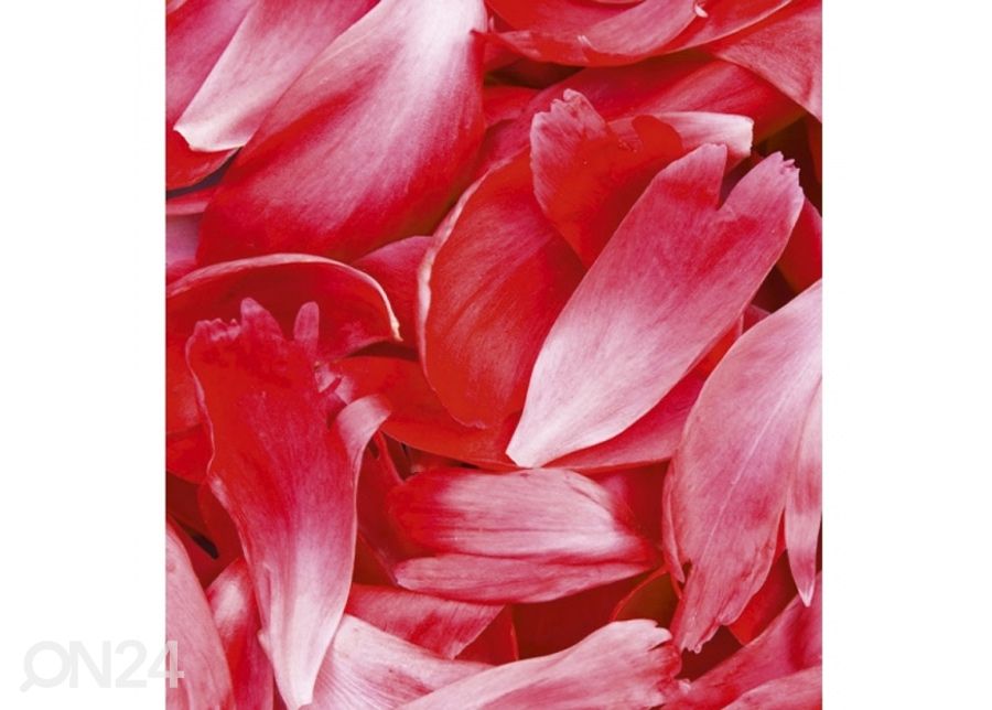Fliis fototapeet Red petals 150x250 cm suurendatud