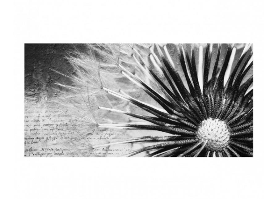 Fotoklaas, köögi tagasein Dandelion Black & White 1, 59x120 cn suurendatud