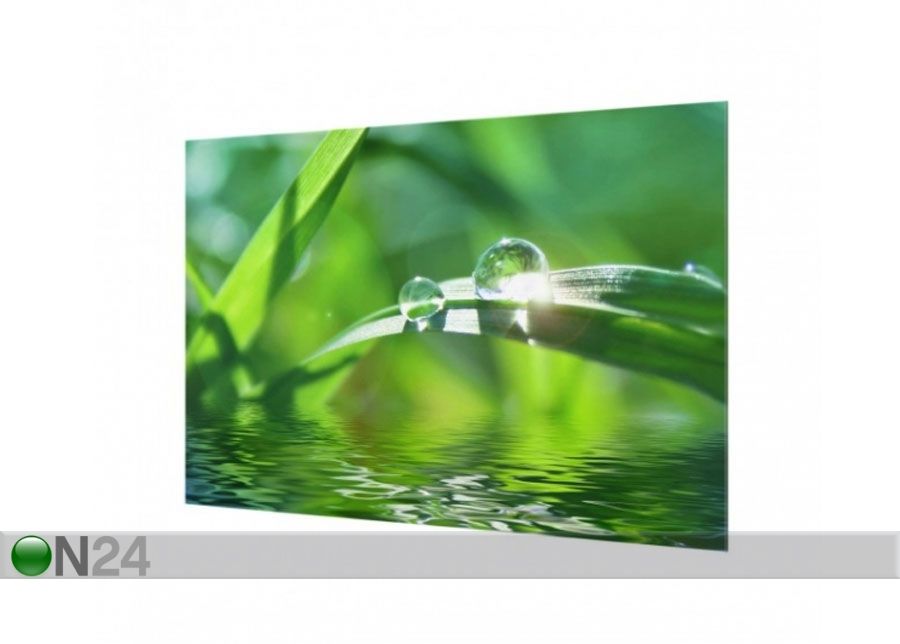 Fotoklaas, köögi tagasein Green Ambiance II, 40x60 cm suurendatud