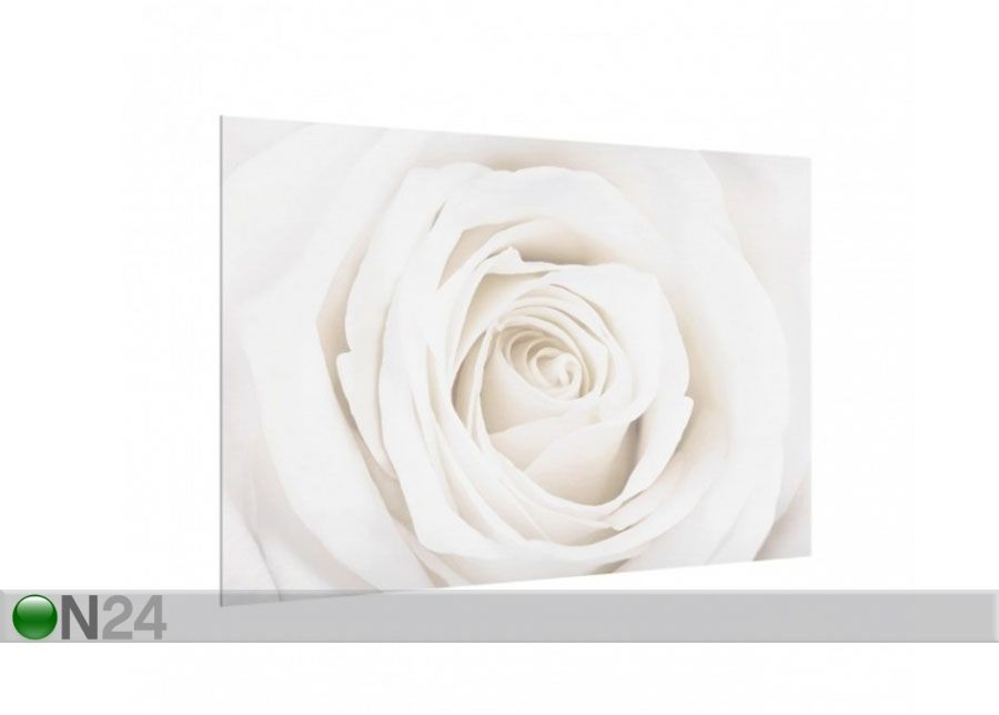 Fotoklaas, köögi tagasein Pretty White Rose 1, 40x60 cm suurendatud