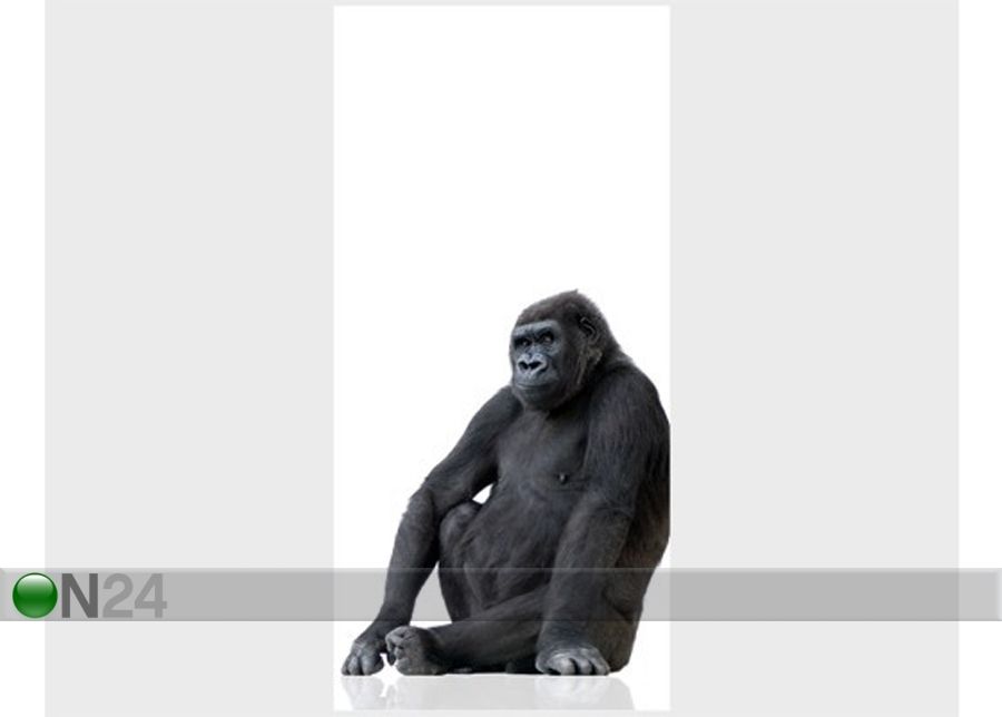 Fototapeet Gorilla Thought 100x210cm suurendatud