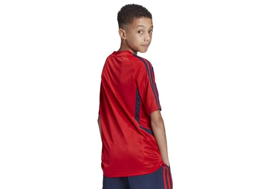 Jalgpallisärk lastele adidas Arsenal TR JSY Y Junior EH5699 suurendatud