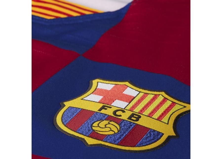 Jalgpallisärk meestele Nike FC Barcelona Vapor Match Home 19/20 M AJ5257-455 suurendatud