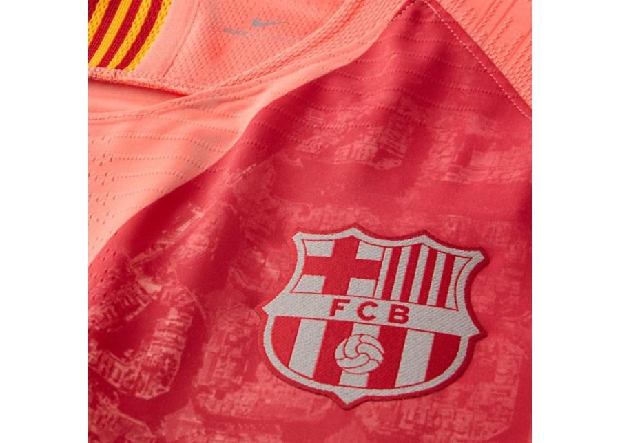 Jalgpallisärk meestele Nike FC Barcelona Vapor Match Third M 918911-694 suurendatud