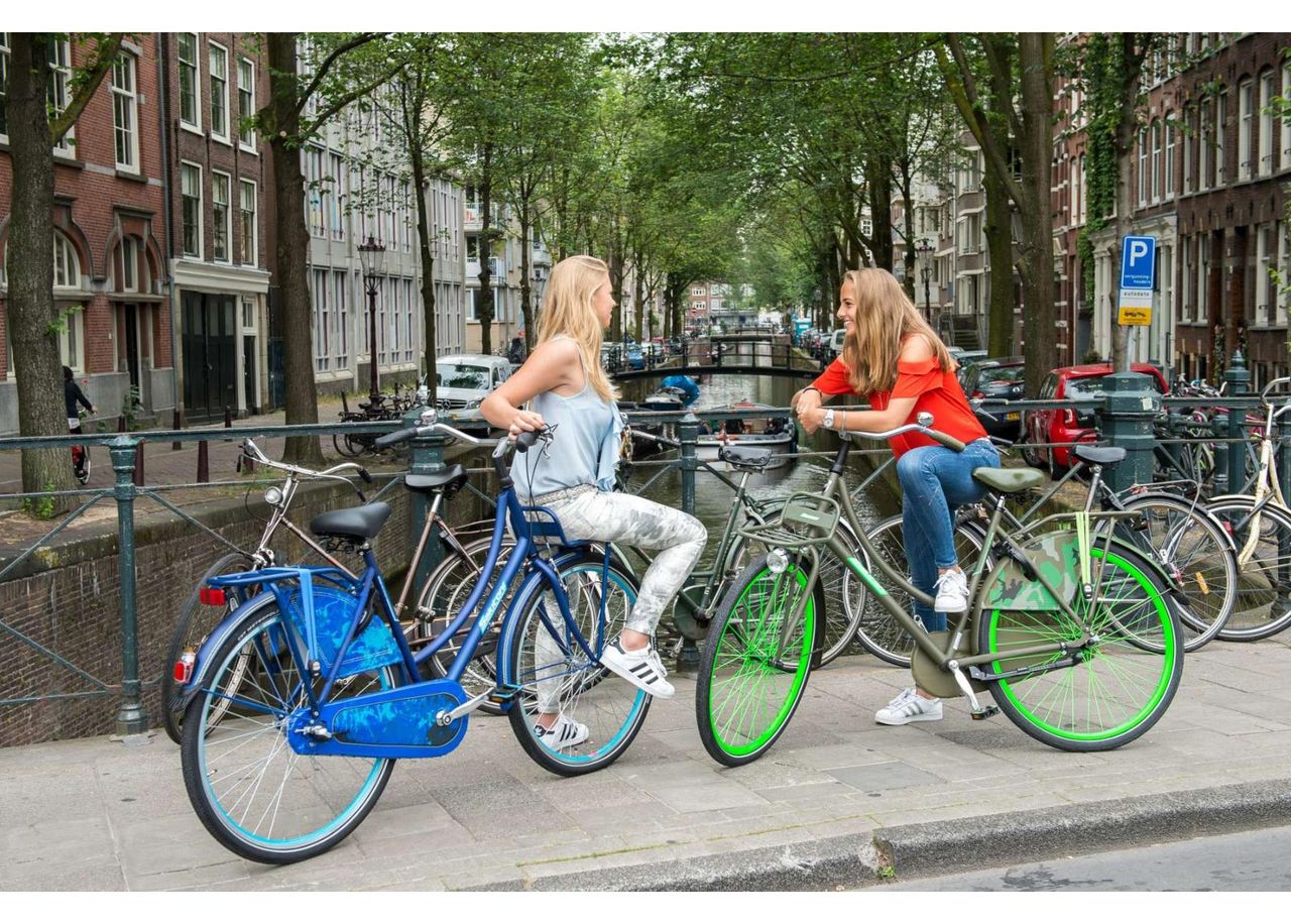 Linnajalgratas naistele SALUTONI Camouflage 28 tolli 56 cm Shimano Nexus 3 käiku suurendatud