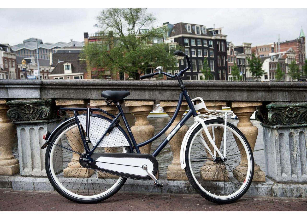 Linnaratas naistele SALUTONI Dutch oma bicycle Glamour 28 tolli 56 cm suurendatud